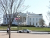the-white-house-915