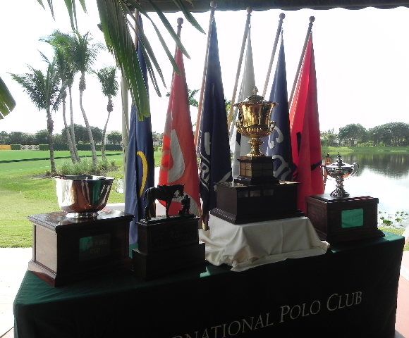 Polo3