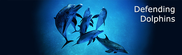 home_top_image