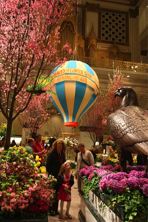 macysflowershow