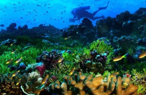 113051.FG.0822.Slime.Palmyra.RL