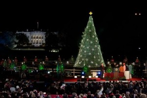 20121206-national-christmas-tree
