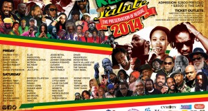 Rebel-Salute-2014-Flyer-8_5x11-2-800x430