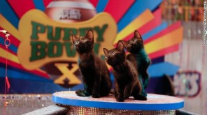 Puppy Bowl X Day One