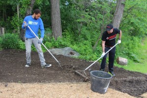 New York Restoration