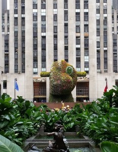 20140724_095849-468x600