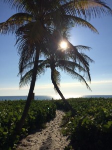 15805_853572804674351_1009110776311954740_n