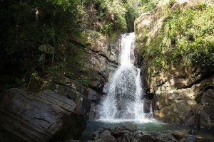 10330457_10153157853414090_3543552470082196205_n