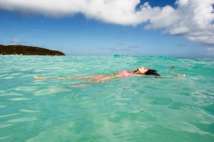 11021260_10153176572699090_1761933713704122988_n