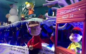 12238226_10153311697378037_2012385461079504589_o