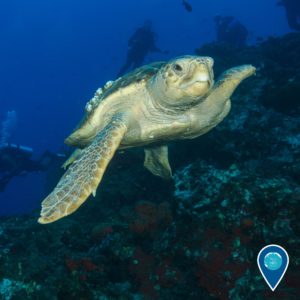 14712483_10154100978141656_4068070192665007330_o