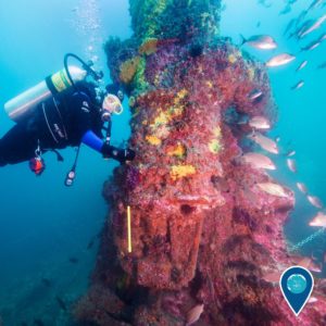 14715574_10154078757656656_5281934752558175866_o