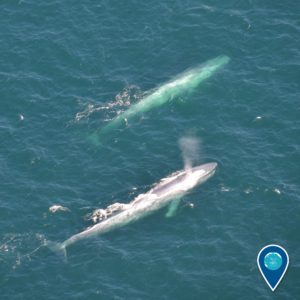 14882180_10154117973196656_6756785389302496800_o