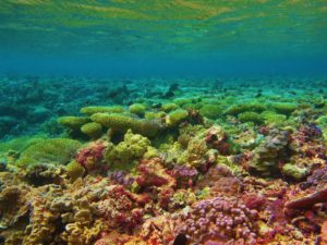 10924391_10152748808603401_3838655364936243822_o